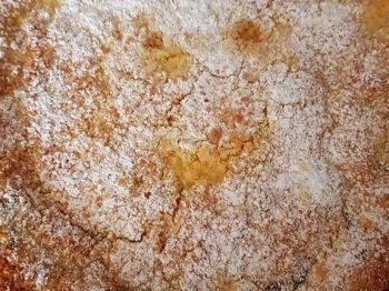 TORTA CAROTE E GOCCE DI CIOCCOLATO