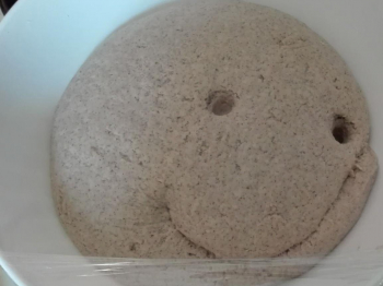 Impasto per pizza integrale ai cereali