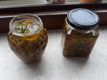 Melanzane sott'olio