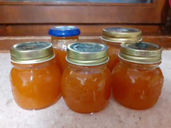 Comfettura di susine gialle, vaniglia e Marsala