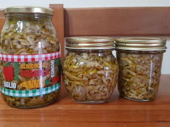 Melanzane sott'olio