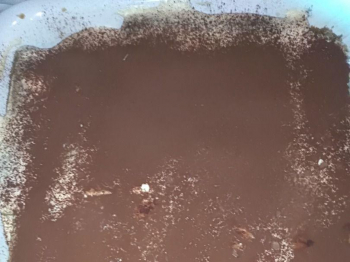 Tiramisù con ricotta di bufala