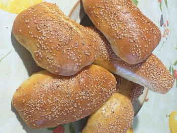 Pane