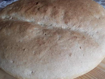 Pane