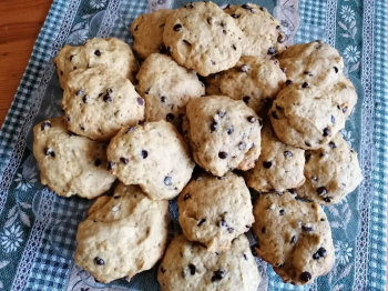 Biscotti alla zucca con gocce di cioccolata