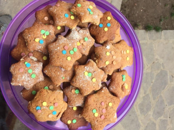Biscotti al miele
