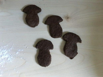 Biscotti al cioccolato