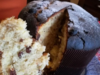 Panettone