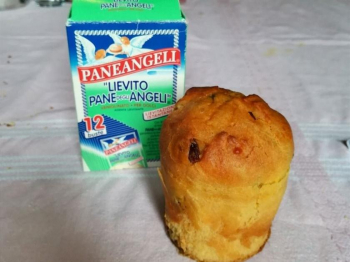 Mini panettoncini con uvetta e gocce di cioccolato