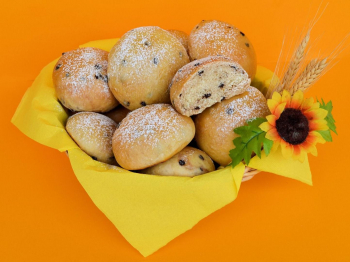 Pangoccioli