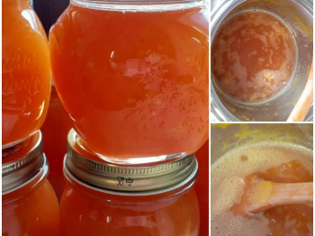 Marmellata di arance speziata