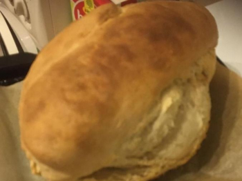 Pane