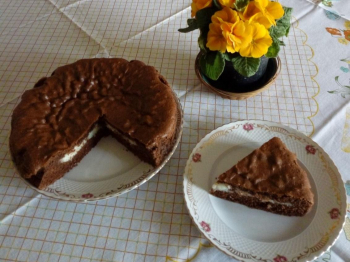 Torta versata al cioccolato e cocco 🍫🥥