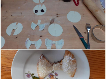 Papillon del papà