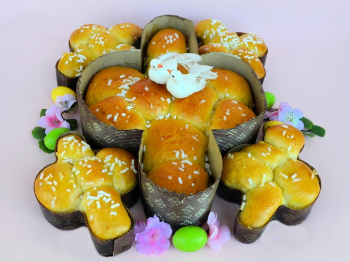 Colomba e colombine