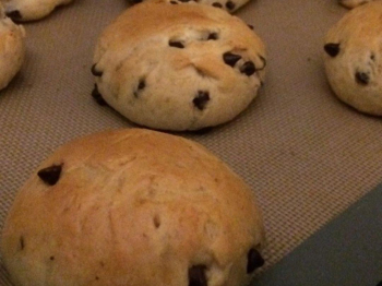 Pangoccioli