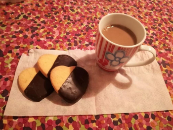 Biscotti al limone e cioccolato al latte