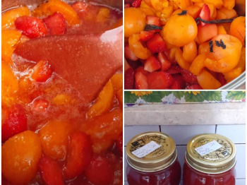 Confettura di fragole, albicocche e vaniglia
