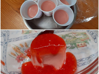 Panna cotta allo yogurt e coulis di fragole
