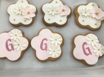 Biscotti decorati