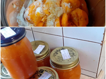 Confettura di albicocche, mele, cannella e cardamomo