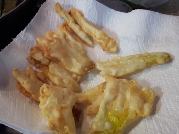 Fiori di zucca in pastella