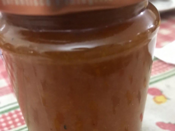 Confettura di albicocche
