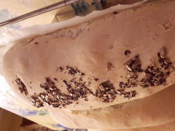 Pane ai semi misti
