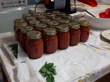Passata di pomodoro al basilico