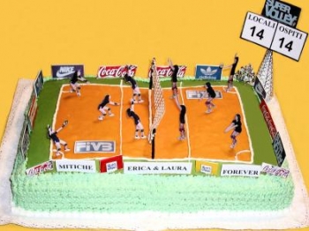 Volley camp