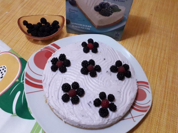 Torta fredda allo yogurt con frutti di bosco