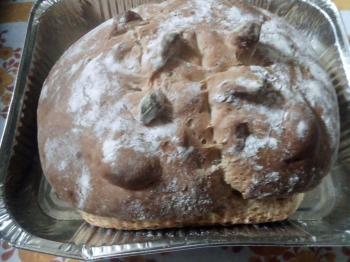 Pane
