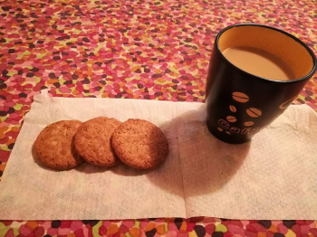 Biscotti integrali semplici
