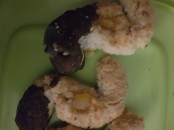 biscotti s con mandorle