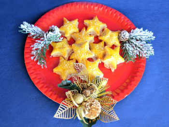 Stelline salate 2 (variante salmone)