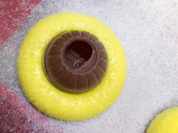 Dolcetti di polenta