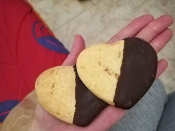 Biscotti alla ricotta e cioccolato