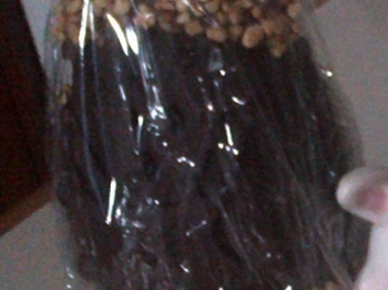 Uovo di Pasqua fondente con mousse di caffè