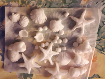 Conchiglie e stelle marine in pdz