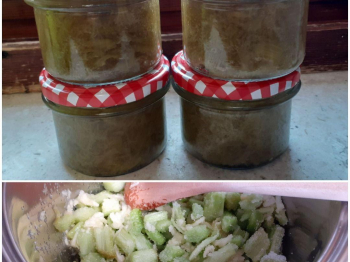 Confettura di rabarbaro, mele e vaniglia