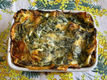 Lasagne erbette e ricotta
