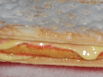 Diplomatica