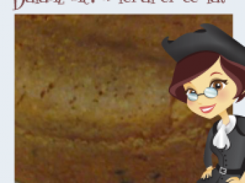 Torta morbida ai chicchi di cioccolato