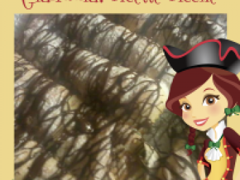 chiacchiere al cioccolato
