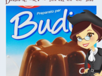 Budino