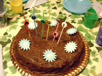 CIOCCOTORTA DI PAPY