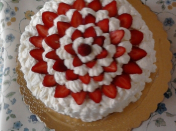 dalia di panna e fragole - ricetta di dolci fantasie