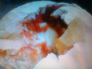 MUFFIN ALLA PIZZA