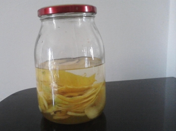 LIMONCELLO