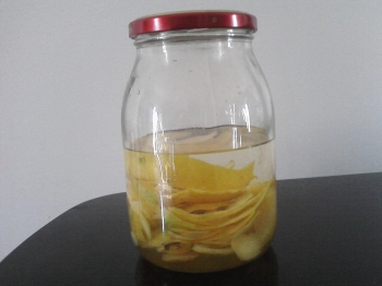 Crema di limoncello